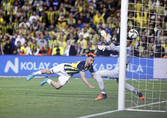 迷们津津乐 迷们津津乐