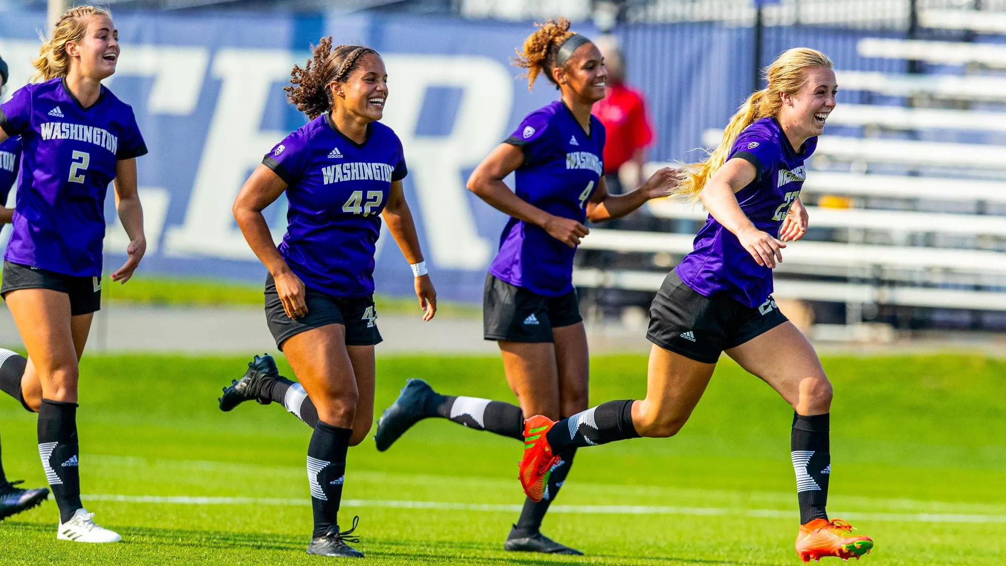 从这一点也 从这一点也