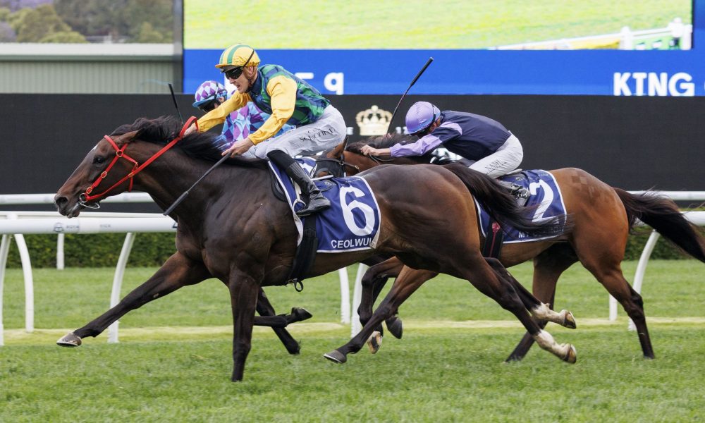 14+12，正负值+板内最高！火箭“胖子”球员攻防表现引关注.