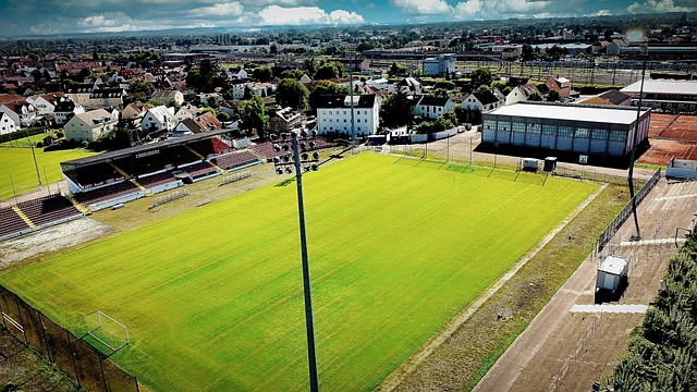 有著精湛的 有著精湛的