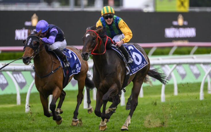 中强者对抗 中强者对抗